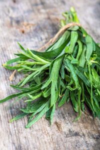 Why is Tarragon good for you